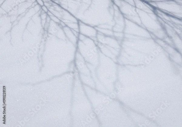 Obraz 雪に映る木の影
