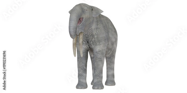 Obraz Realistic elephant isolated on white background