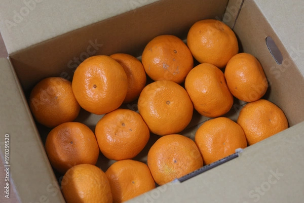 Obraz 段ボールに入ったたくさんのみかん