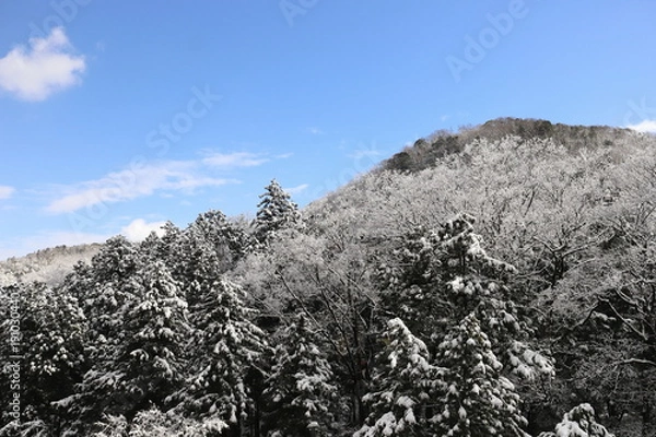 Obraz 山中温泉　雪の鶴仙渓