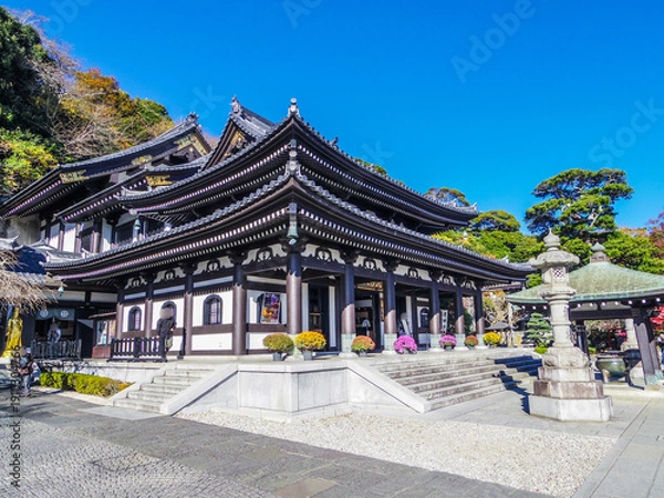 Obraz 【神奈川県】鎌倉市・長谷寺