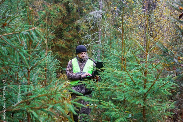 Obraz a forest engineer works in the forest