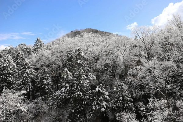 Obraz 山中温泉　雪の鶴仙渓