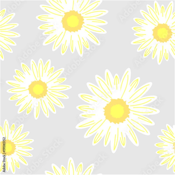 Fototapeta Seamless background with daisy flowers. Vector graphic illustration.