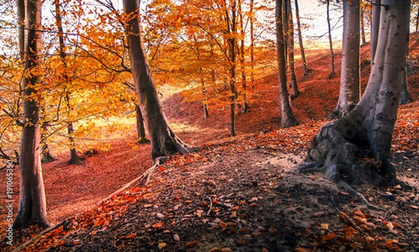 Obraz Bright autumn colors