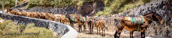 Obraz Santorini, Greece