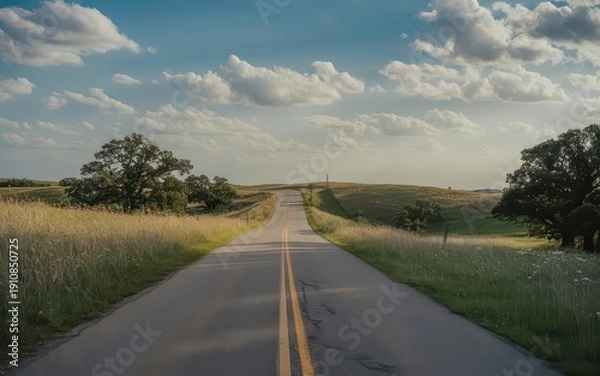 Obraz Scenic rural road under a dramatic sky.