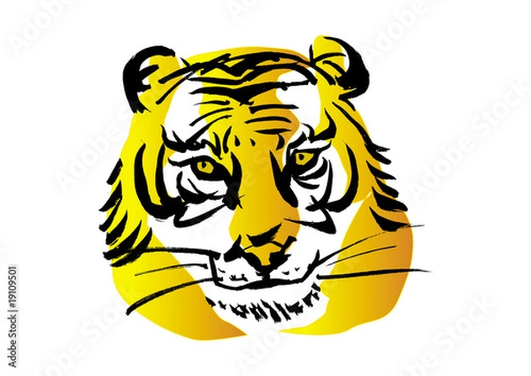 Obraz カラーイラスト「虎」