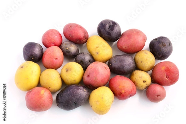 Obraz Tricolor mini potatoes