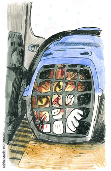 Obraz Cat in Carrier Illustration