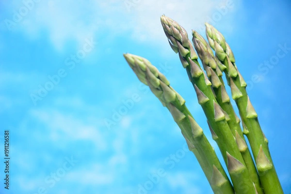 Obraz 新鮮なグリーンアスパラガス