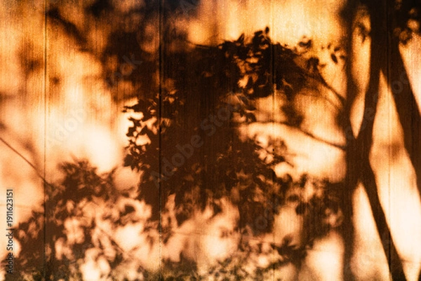 Obraz natural tree shadow on orange concrete wall background