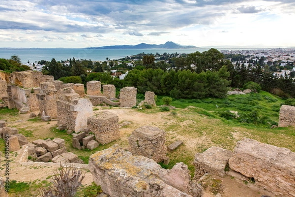 Fototapeta カルタゴ遺跡
