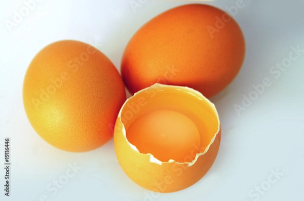 Obraz egg