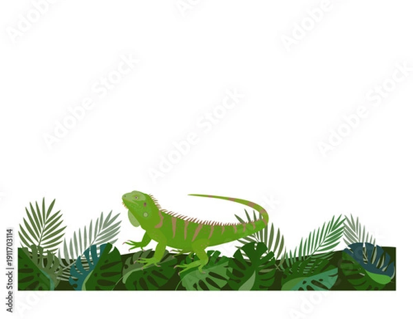 Fototapeta イグアナ