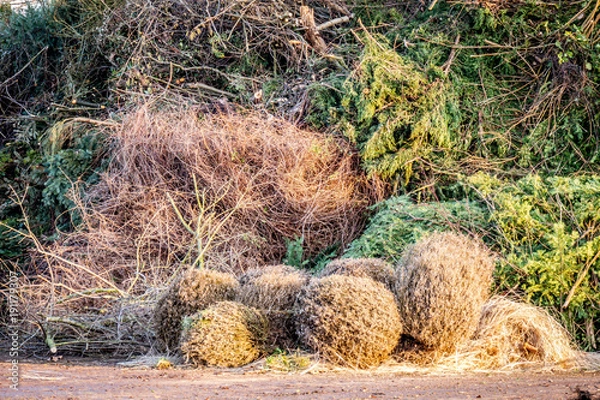 Obraz Grünschnitt Abfälle