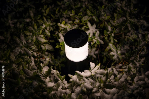 Obraz 都心散歩　雪景色のお庭