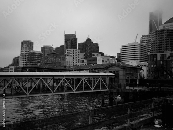 Fototapeta San Francisco's view from pier 14