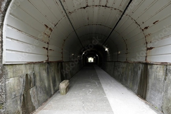 Obraz トンネル