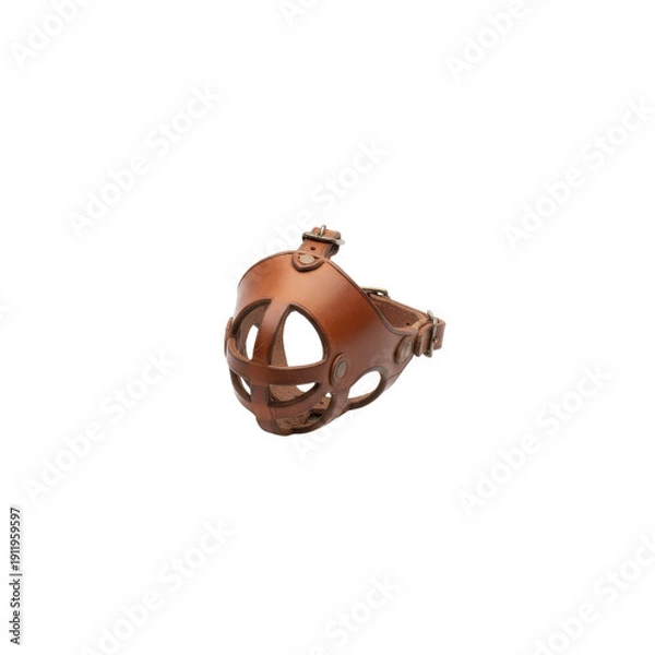 Obraz Brown leather dog muzzle On Transparent Background