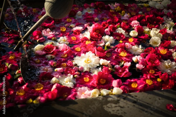 Obraz 色とりどりの花を浮かべた花手水