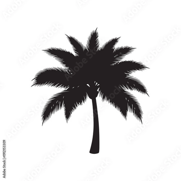 Obraz Black Plam tree silhouette vector illustration