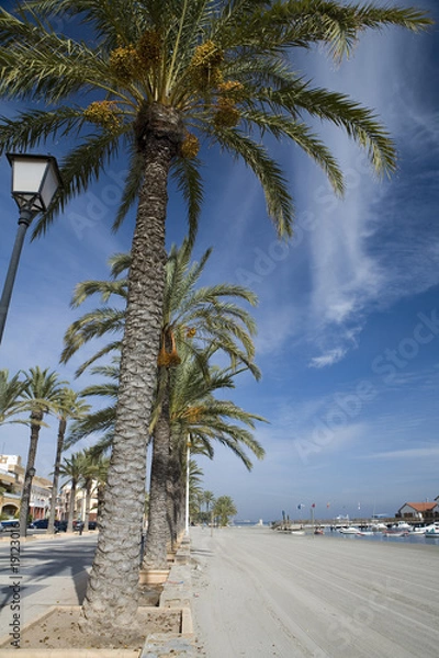 Obraz Los Alcazares beach