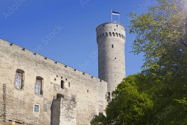Obraz Toompea Castle on Toompea hill (Tall Hermann tower). Tallinn, Estonia