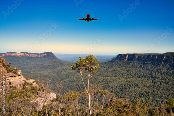 Obraz ブルーマウンテン国立公園のユーカリの原生林