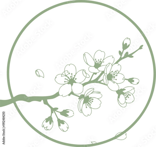 Obraz Cherry Flower Vector Design