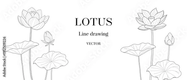 Obraz ハスの花と蕾の線画ベクターイラスト