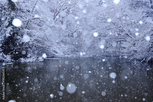 Obraz 雪の都立小山内裏公園水没林