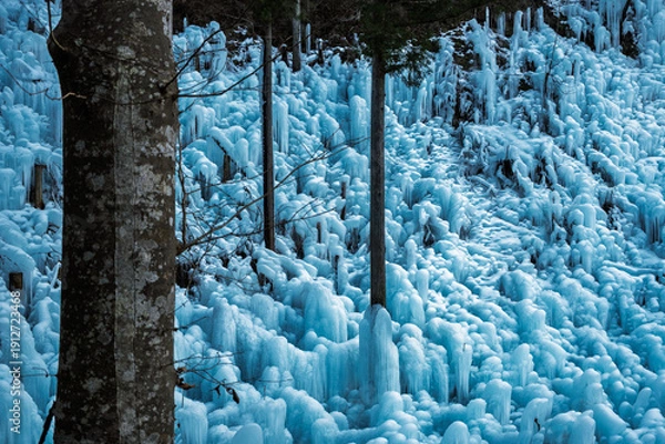 Obraz 夕方のあしがくぼの氷柱と木の幹