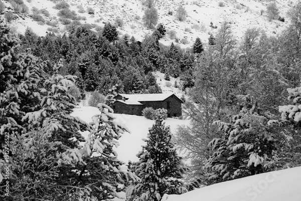 Obraz House in the winter