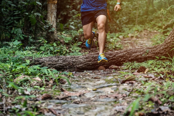 Fototapeta Athletic runner jumping cross tree trunk on tropical forest trail