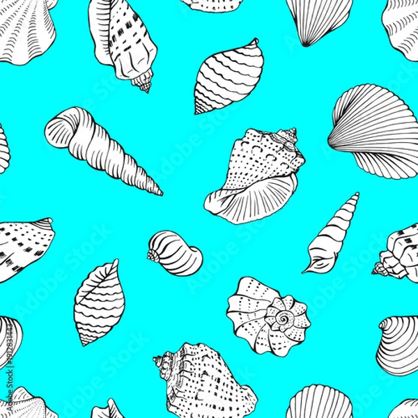 Obraz Seamless pattern with seashells. Marine background. Hand drawn vector illustration.