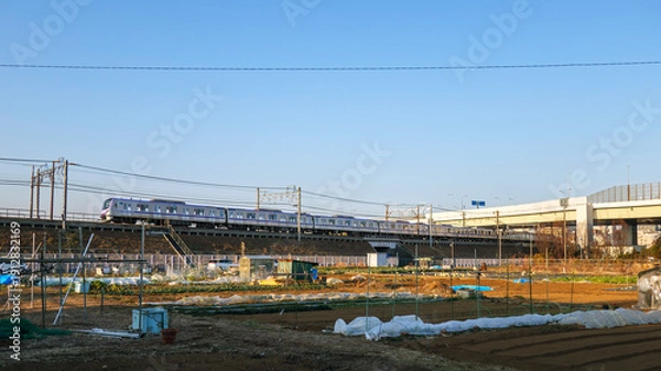 Obraz 築堤を走る電車