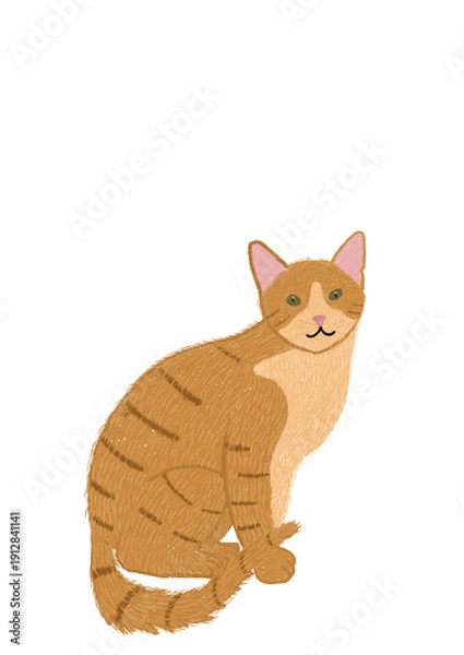 Obraz cat on a white background
