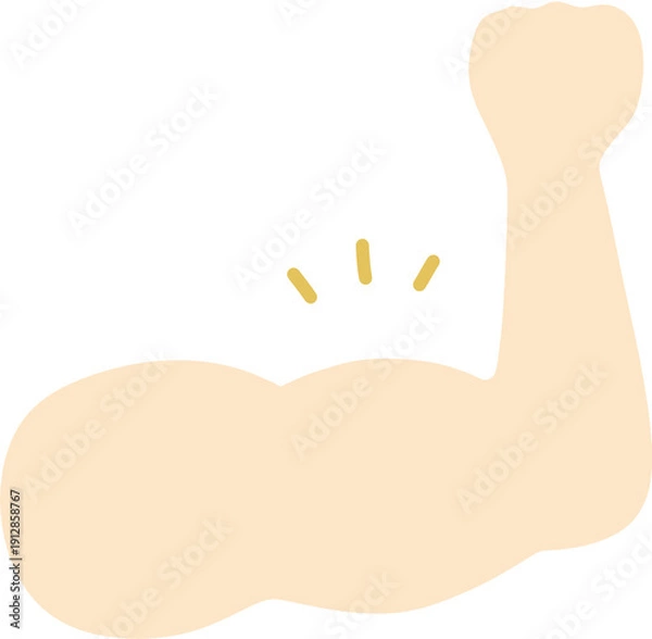 Fototapeta 근육 팔운동 아령 