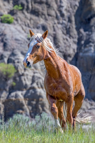 Obraz "Wild Warrior"