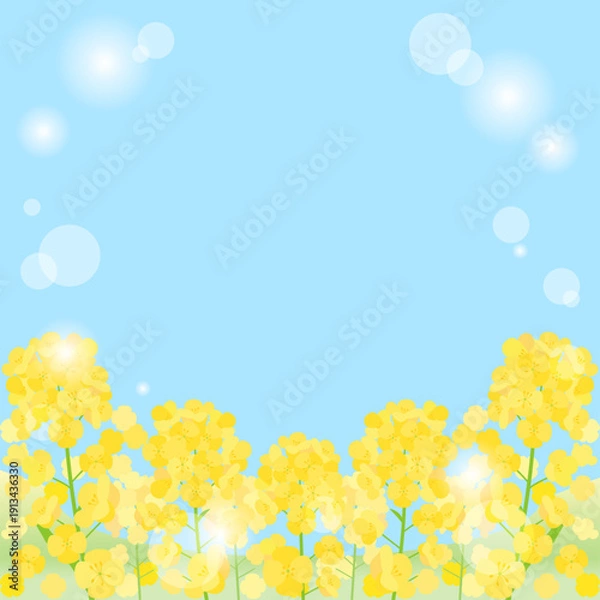 Obraz 青空と日差しと菜の花畑を組み合わせた背景のイラスト　1：1バージョン
