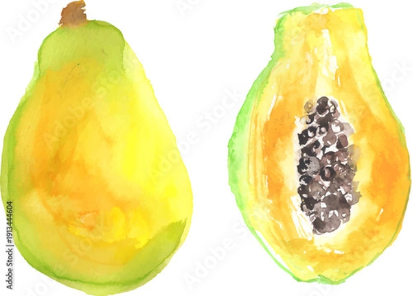 Fototapeta 水彩で描いた黄パパイヤのイラスト