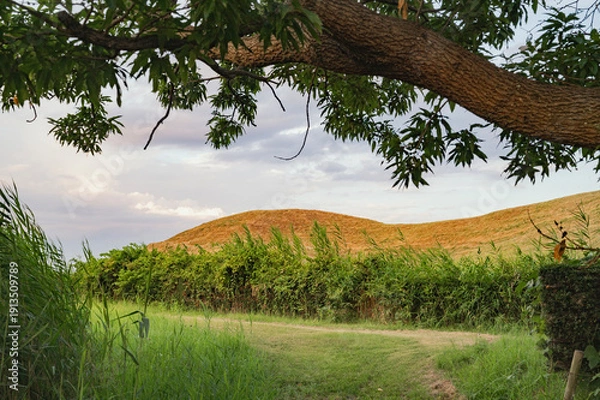 Obraz 埼玉　夕暮れの二子山古墳（埼玉古墳群）