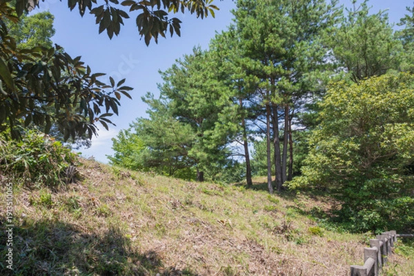 Obraz 新潟　菖蒲塚古墳