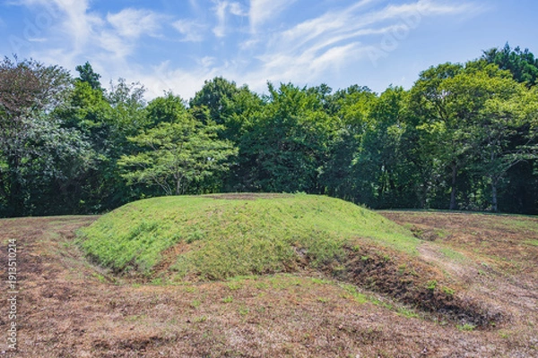 Obraz 新潟　古津八幡山遺跡の前方後方形周溝墓