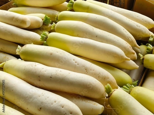 Obraz 山積みの大根