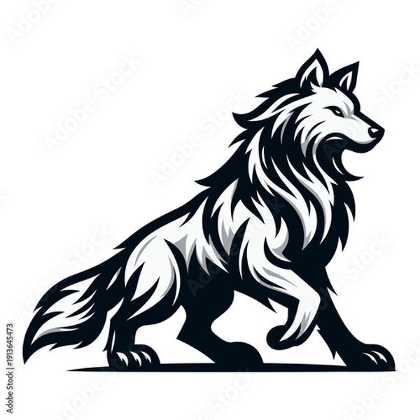 Fototapeta Wolf vector and illustration.