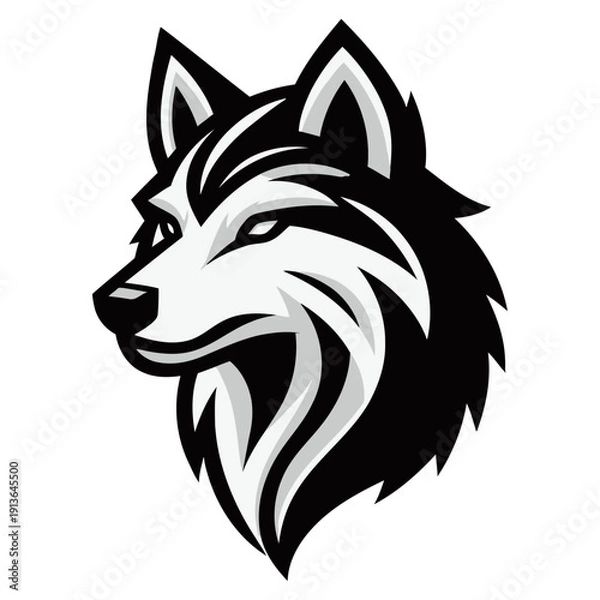 Fototapeta Wolf vector and illustration.