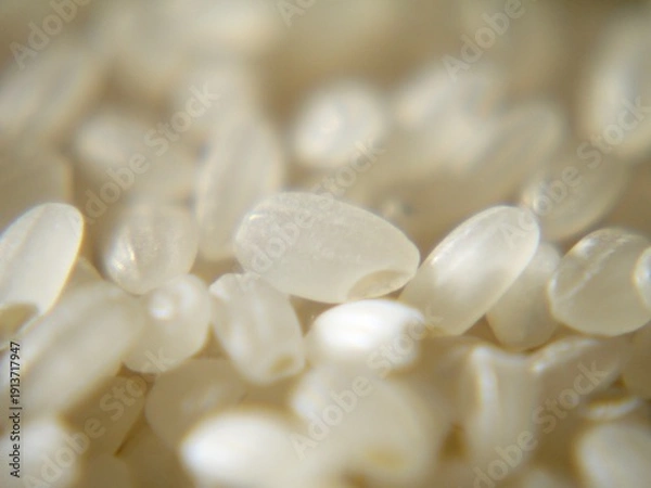 Fototapeta 日本のブランド米、秋にとれた新米です