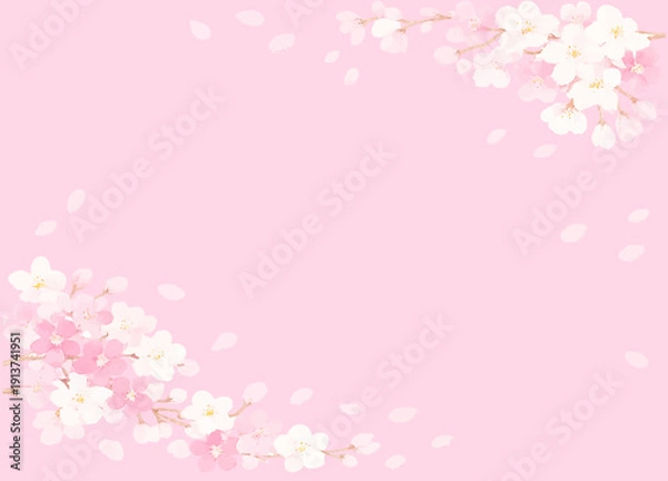 Obraz 桜のびらのイラストフレーム素材　桃色の背景　ベクターデータ